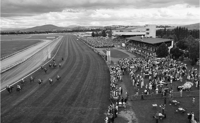 Jockeys at the starting gates